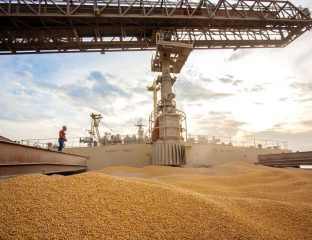 Brasil importa mais que o triplo de soja nos primeiros 8 dias úteis de julho do que em todo mesmo mês