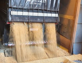 Portal Estrada - Volume de soja exportado pelo Paraná já superou de 2019