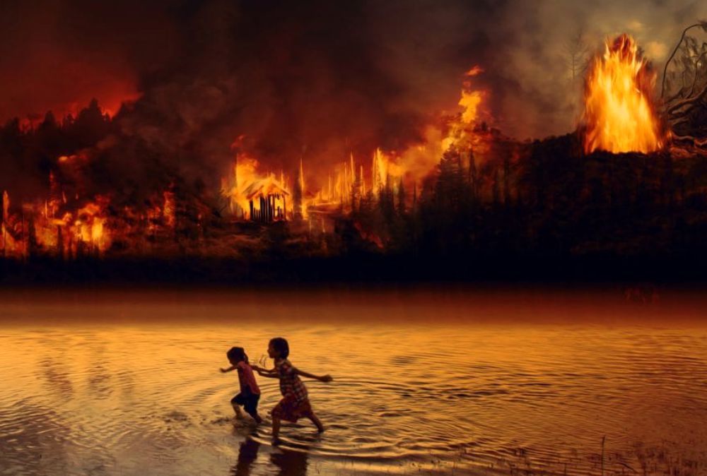 Portal Estrada - Amazônia tem piores queimadas em uma década segundo números