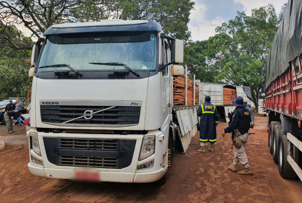 Portal Estrada - Operações de combate aos crimes ambientais apreendem 924,76 m³ de madeira ilegal