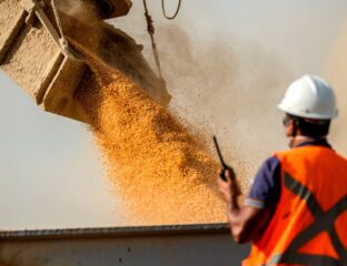 Portal Estrada - Porto de Paranaguá prevê 11% de alta nas exportações de grãos no 1º tri